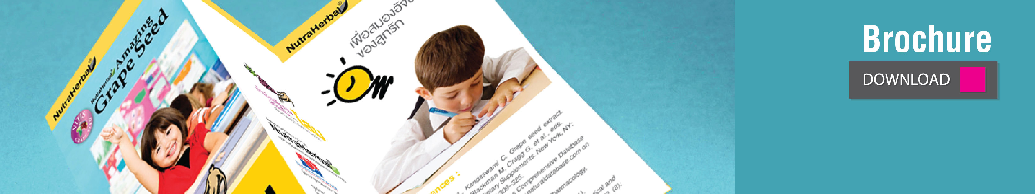 TDA Brochure